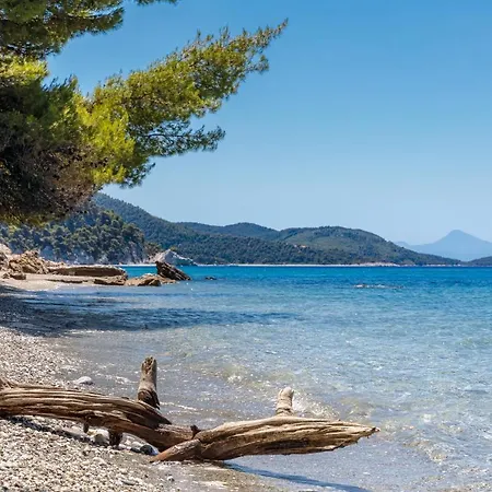 Stamatiou Estate ゲストハウス ネオ・キリマ